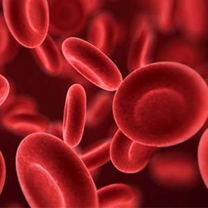 Hematologia