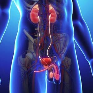 Urologia